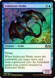 Iridescent Drake
