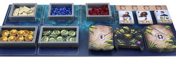 Le Rovine Perdute di Arnak: Organizer Interno immagine 3