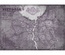 ARN - Argentum Res Novae