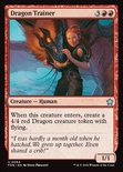 Dragon Trainer