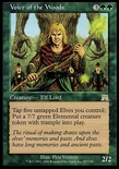 Voice of the Woods