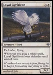 Loyal Gyrfalcon