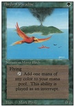 Birds of Paradise