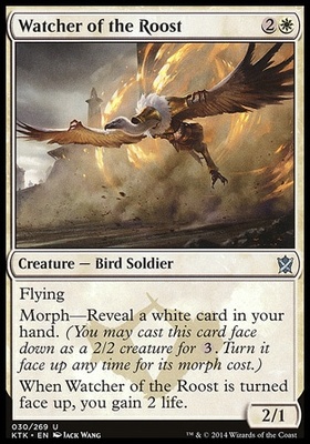 Watcher of the Roost