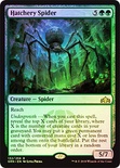 Hatchery Spider