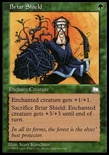 Briar Shield