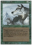 Aspect of Wolf