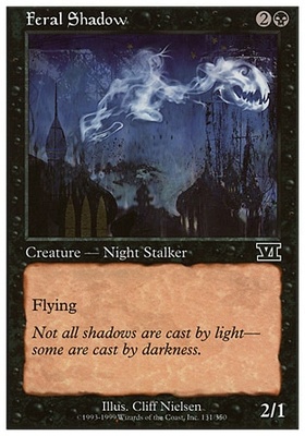 Feral Shadow