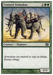 Trained Armodon