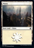 Plains