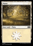Plains