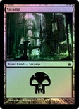 Swamp (#295)