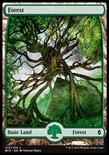 Forest (#273) (Full-Art)