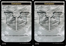 [Experience Counter]