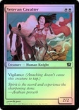 Veteran Cavalier