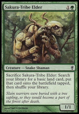 Sakura-Tribe Elder