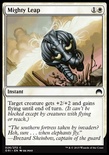 Mighty Leap