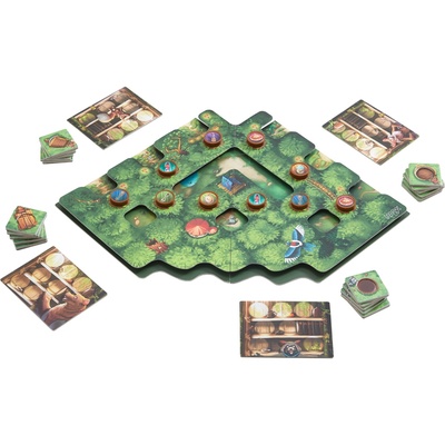 Il Tesoro Della Foresta Incantata