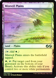 Mistveil Plains