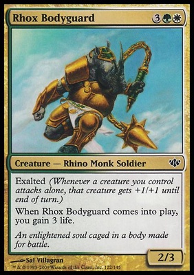 Rhox Bodyguard