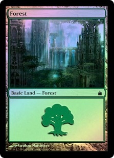 Forest (#303)
