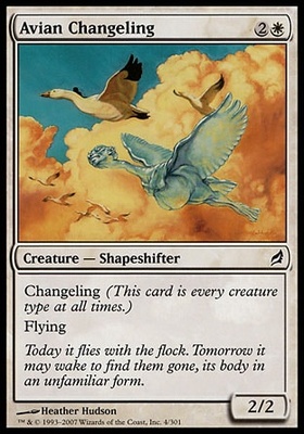 Avian Changeling