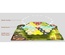 The Castles of Burgundy - Special Edition