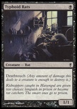 Typhoid Rats