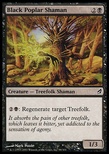 Black Poplar Shaman