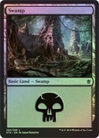 Swamp (#260)