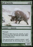 Bull Aurochs