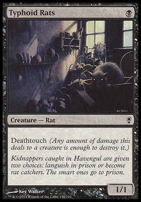 Typhoid Rats