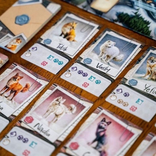 The Fox Experiment immagine 4