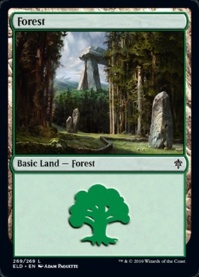 Forest