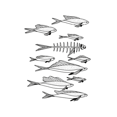 Dany - Nuova Edizione