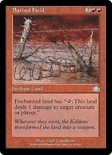 Barbed Field