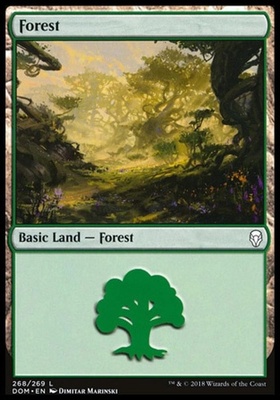 Forest