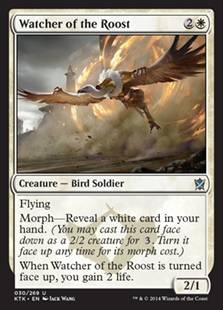 Watcher of the Roost