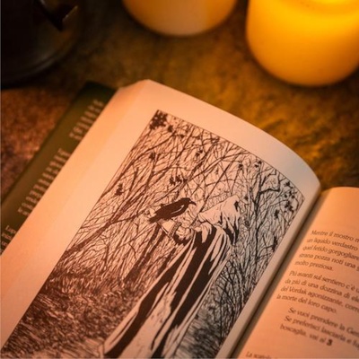 Lupo Solitario Vol.1 - I Signori delle Tenebre - Edizione Speciale Quarantennale Librogame