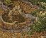Labyrinth
