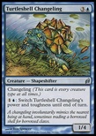 Turtleshell Changeling