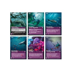 Oceani - Deep Cards Promo