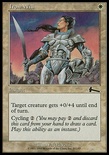 Iron Will