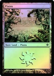 Plains (#230)
