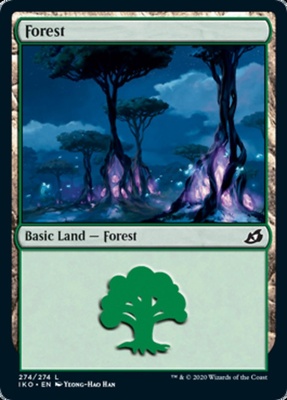 Forest