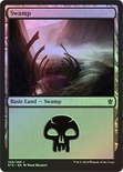 Swamp (#258)