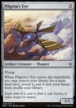 Pilgrim's Eye