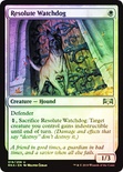 Resolute Watchdog