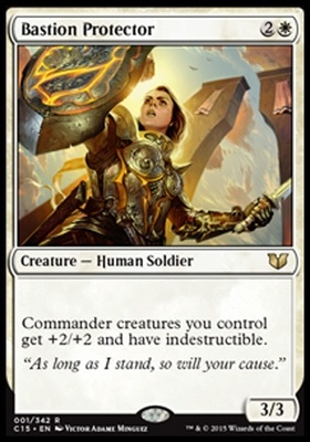 Bastion Protector