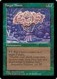 Fungal Bloom